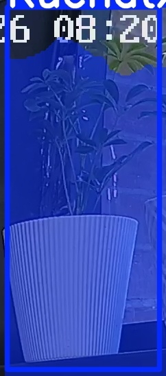 TREE-000015_20260623_082116.jpg