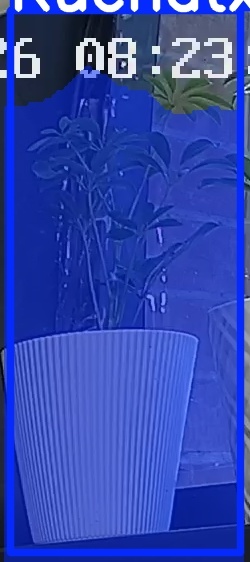 TREE-000015_20260623_082335.jpg