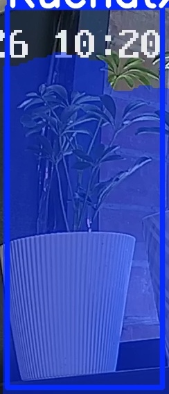 TREE-000015_20260623_102105.jpg