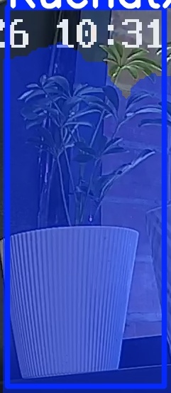 TREE-000015_20260623_103211.jpg