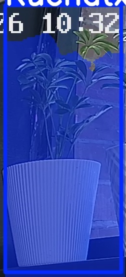 TREE-000015_20260623_103306.jpg