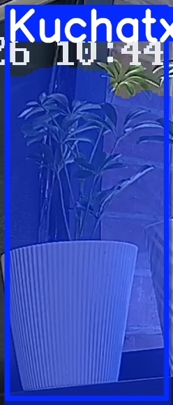TREE-000015_20260623_104547.jpg