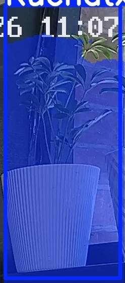 TREE-000015_20260623_110740.jpg