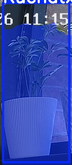 TREE-000015_20260623_111546.jpg