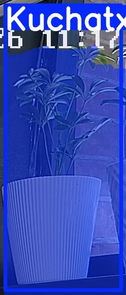 TREE-000015_20260623_111807.jpg