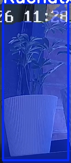 TREE-000015_20260623_112845.jpg