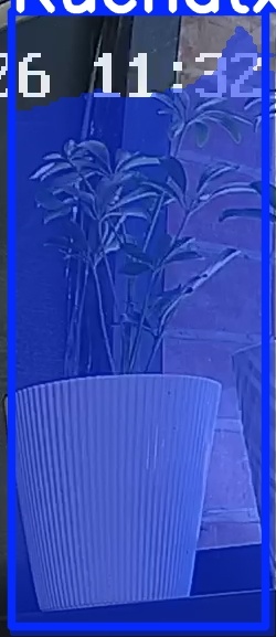 TREE-000015_20260623_113339.jpg
