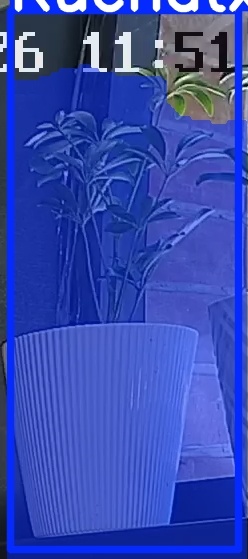 TREE-000015_20260623_115143.jpg