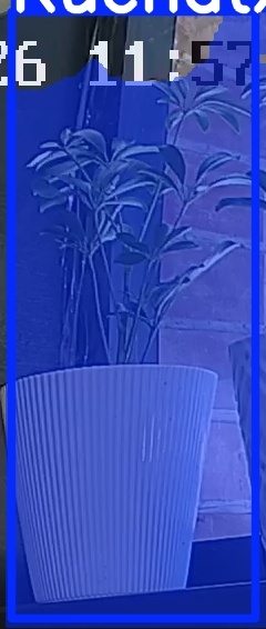 TREE-000015_20260623_115750.jpg