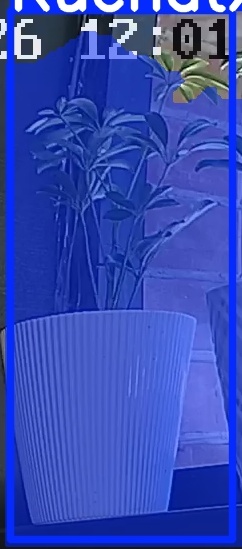 TREE-000015_20260623_120119.jpg