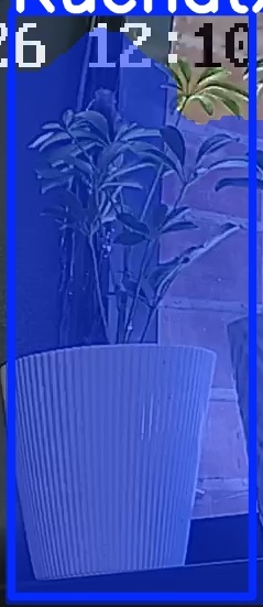 TREE-000015_20260623_121046.jpg