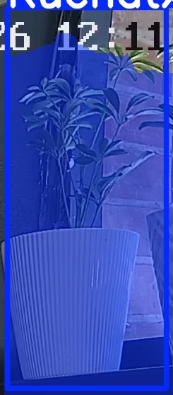 TREE-000015_20260623_121203.jpg