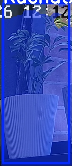 TREE-000015_20260623_121309.jpg