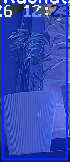 TREE-000015_20260623_122345.jpg