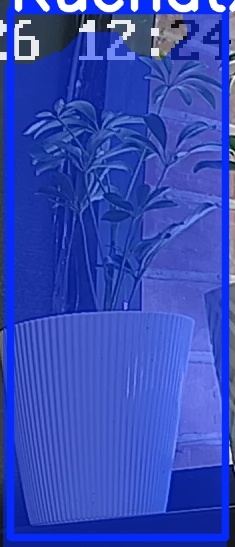 TREE-000015_20260623_122456.jpg