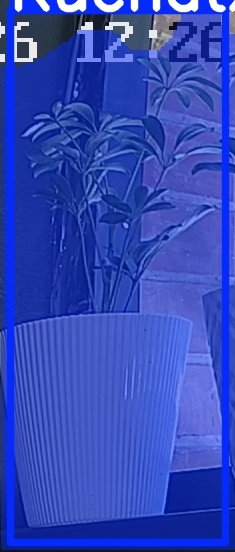 TREE-000015_20260623_122717.jpg