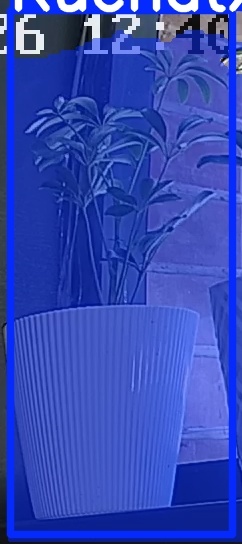 TREE-000015_20260623_124019.jpg
