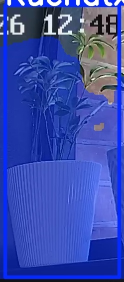TREE-000015_20260623_124909.jpg