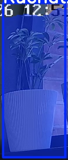TREE-000015_20260623_125151.jpg
