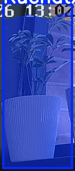 TREE-000015_20260623_130223.jpg