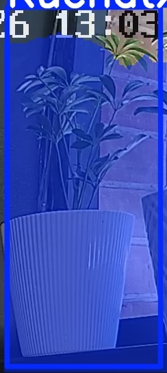 TREE-000015_20260623_130332.jpg