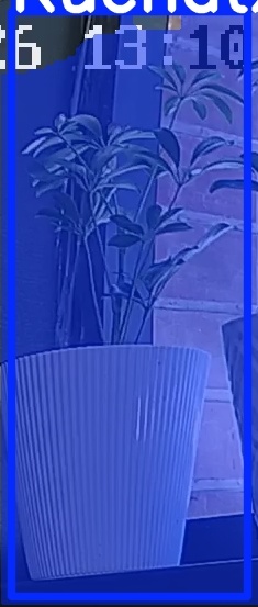TREE-000015_20260623_131039.jpg