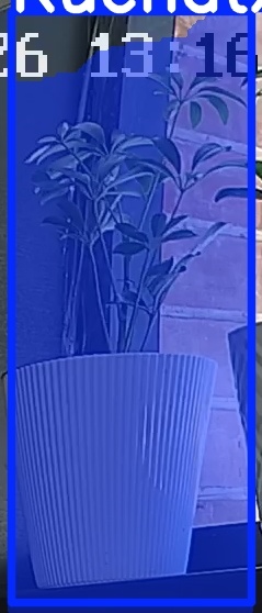 TREE-000015_20260623_131641.jpg