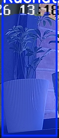 TREE-000015_20260623_131858.jpg