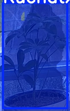 TREE-000017_20260623_054122.jpg