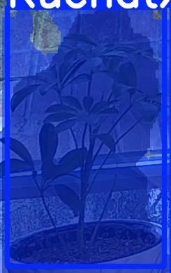 TREE-000017_20260623_054633.jpg