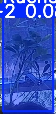 TREE-000018_20260623_080354.jpg
