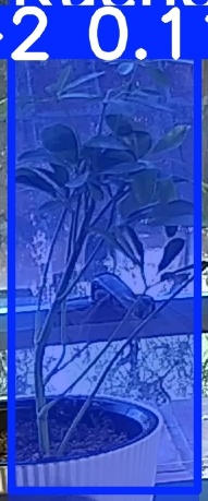 TREE-000019_20260623_074828.jpg
