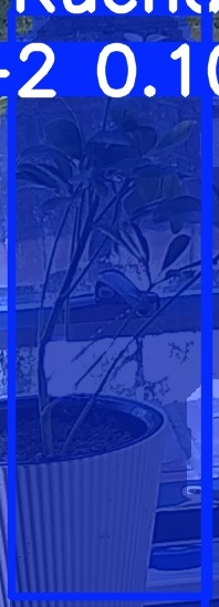 TREE-000019_20260623_102756.jpg
