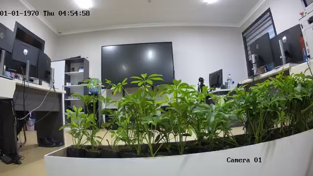 seedling_2026-06-16_19-54-24.jpg