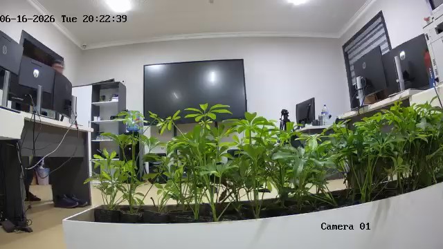 seedling_2026-06-16_20-23-43.jpg