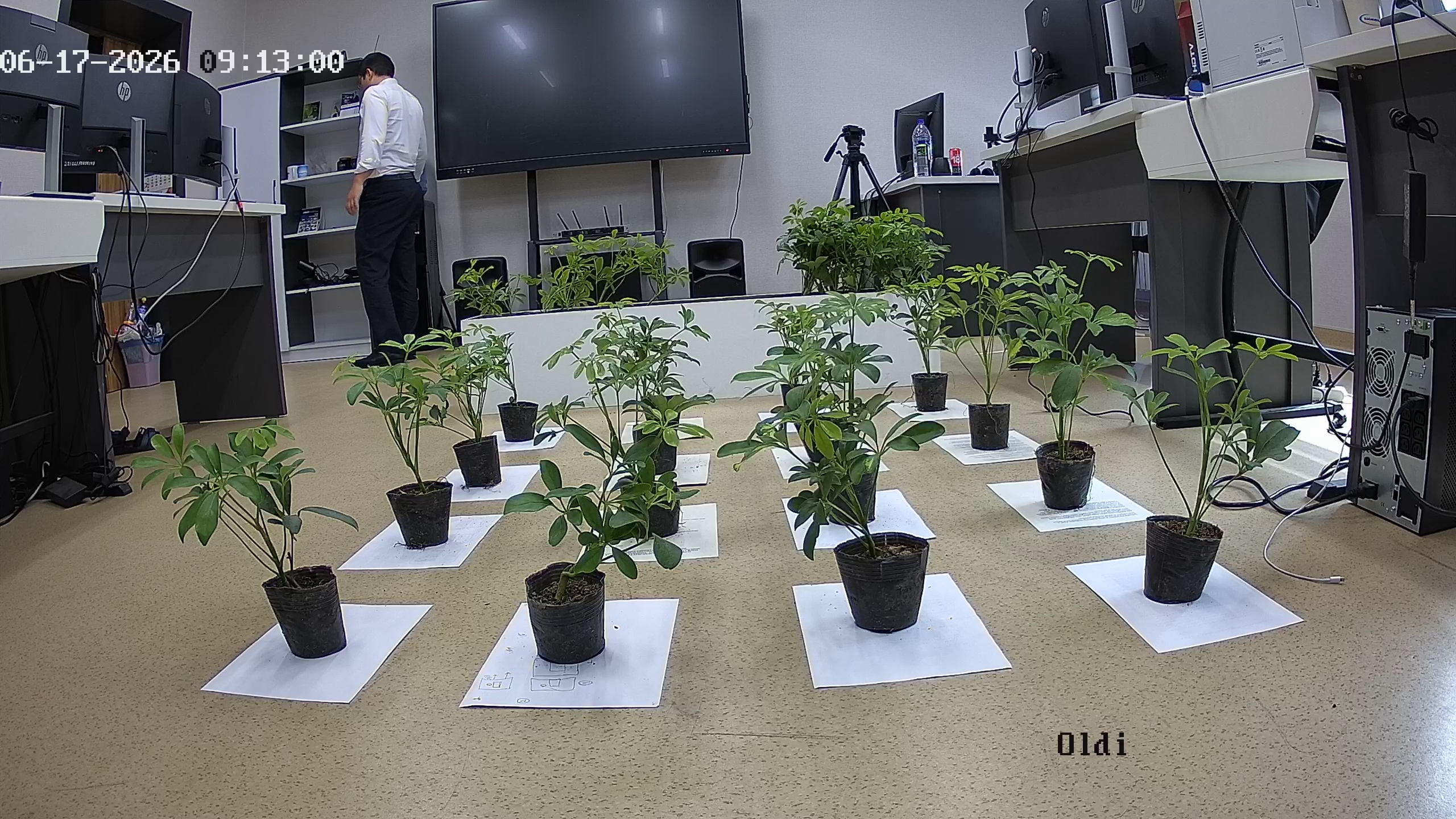 seedling_2026-06-17_09-13-31.jpg