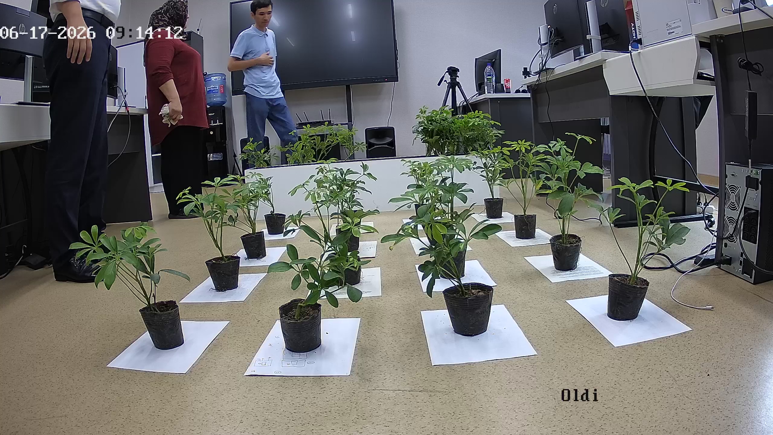 seedling_2026-06-17_09-14-23.jpg
