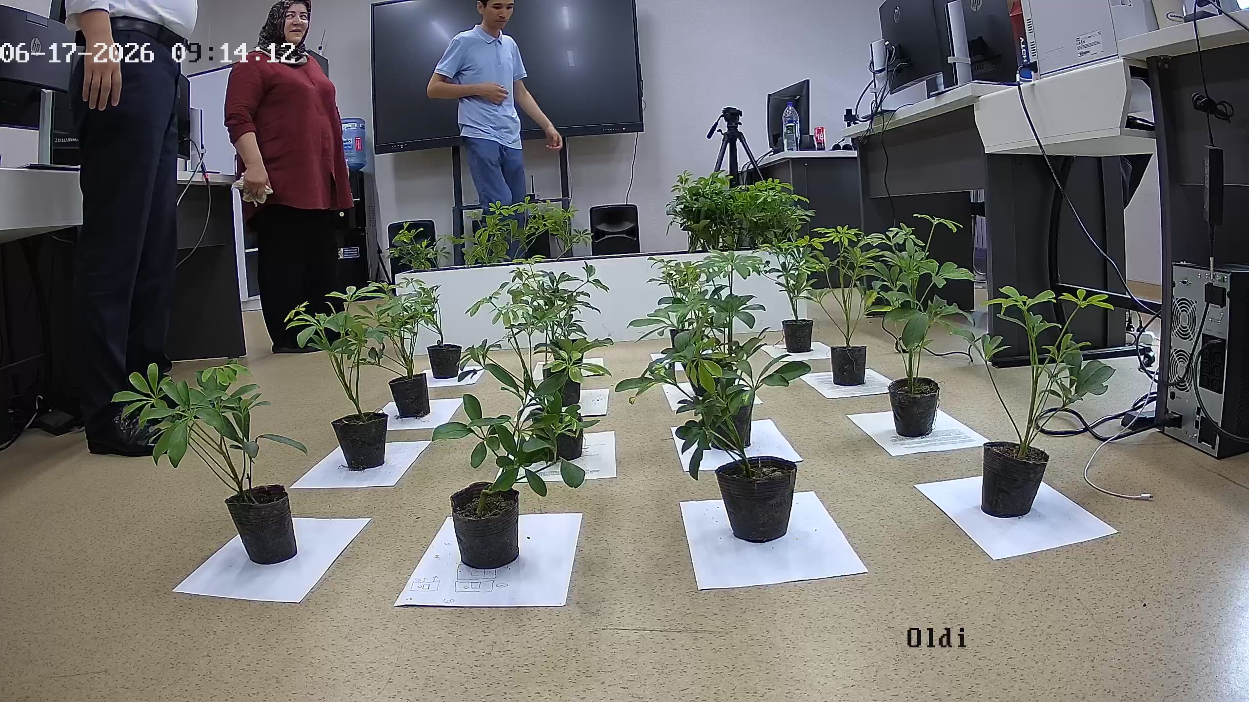 seedling_2026-06-17_09-14-33.jpg