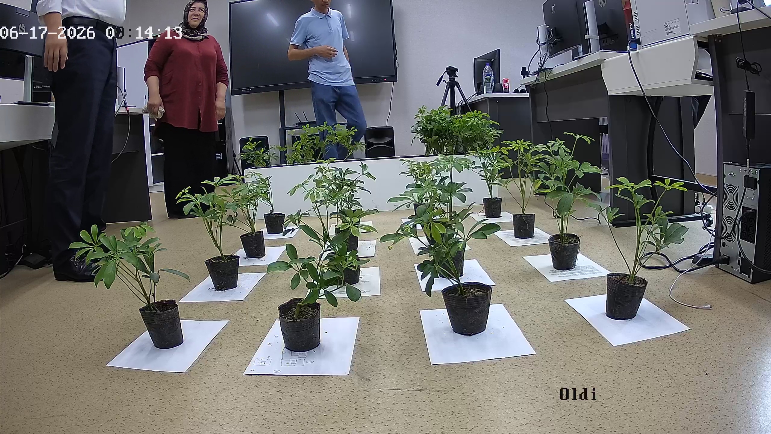 seedling_2026-06-17_09-14-44.jpg