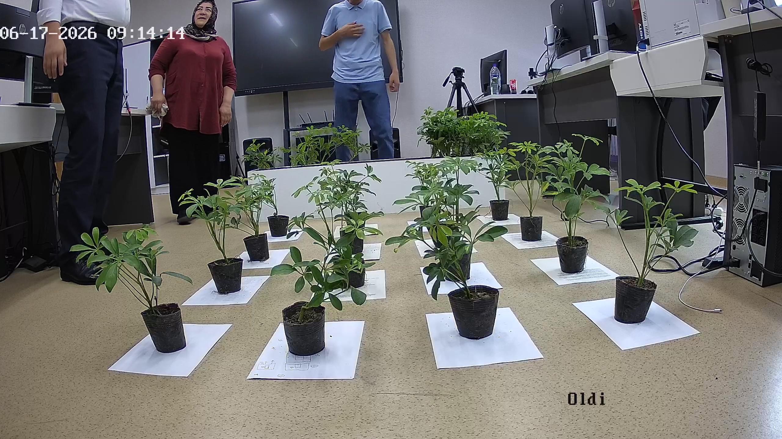 seedling_2026-06-17_09-14-54.jpg
