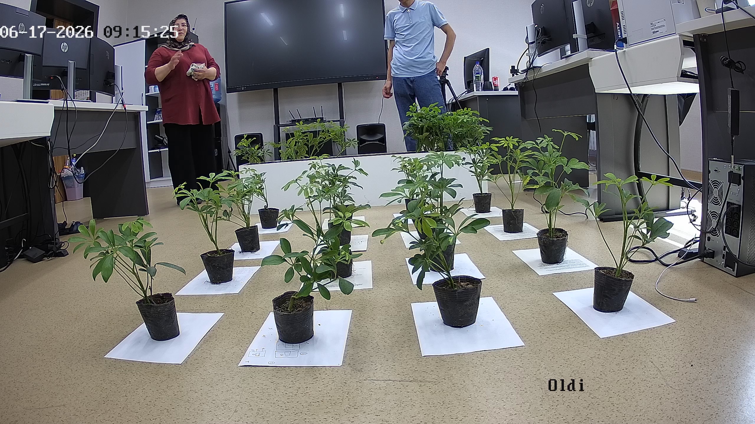 seedling_2026-06-17_09-15-36.jpg