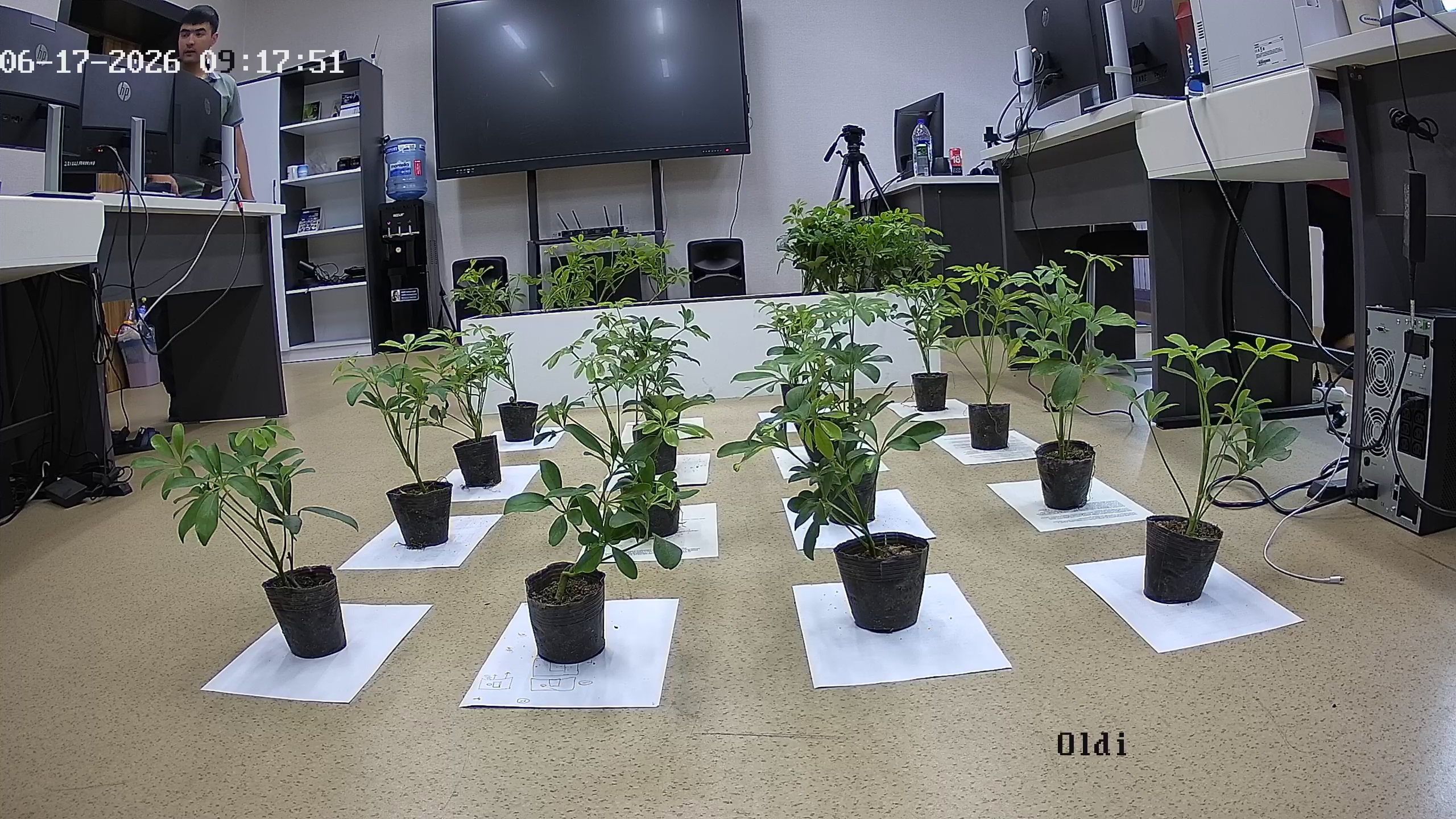 seedling_2026-06-17_09-18-21.jpg