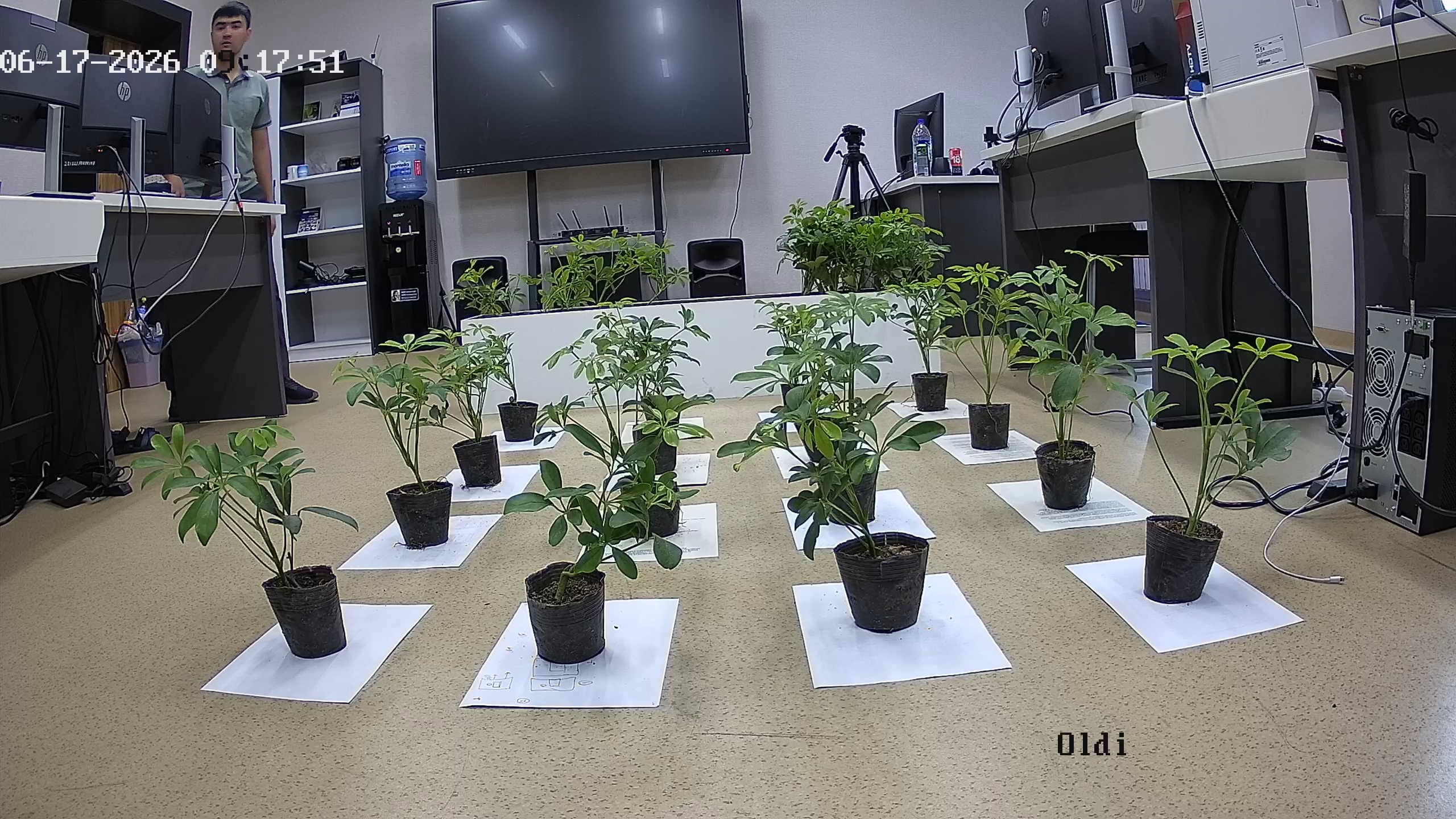 seedling_2026-06-17_09-18-31.jpg