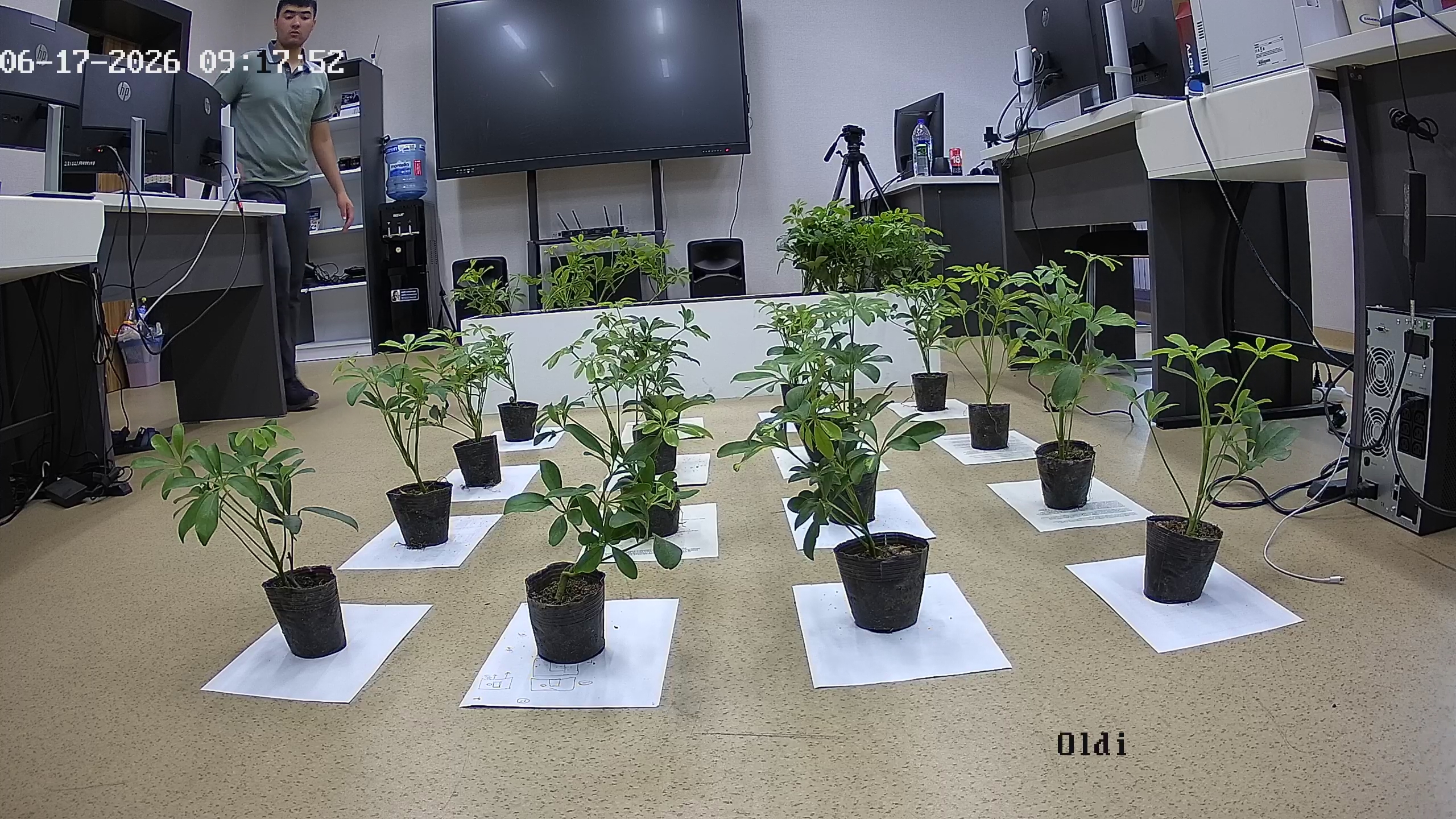 seedling_2026-06-17_09-18-41.jpg