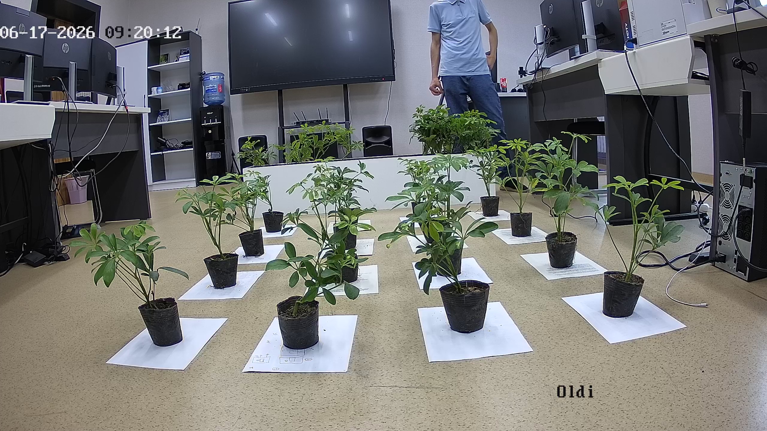 seedling_2026-06-17_09-20-44.jpg