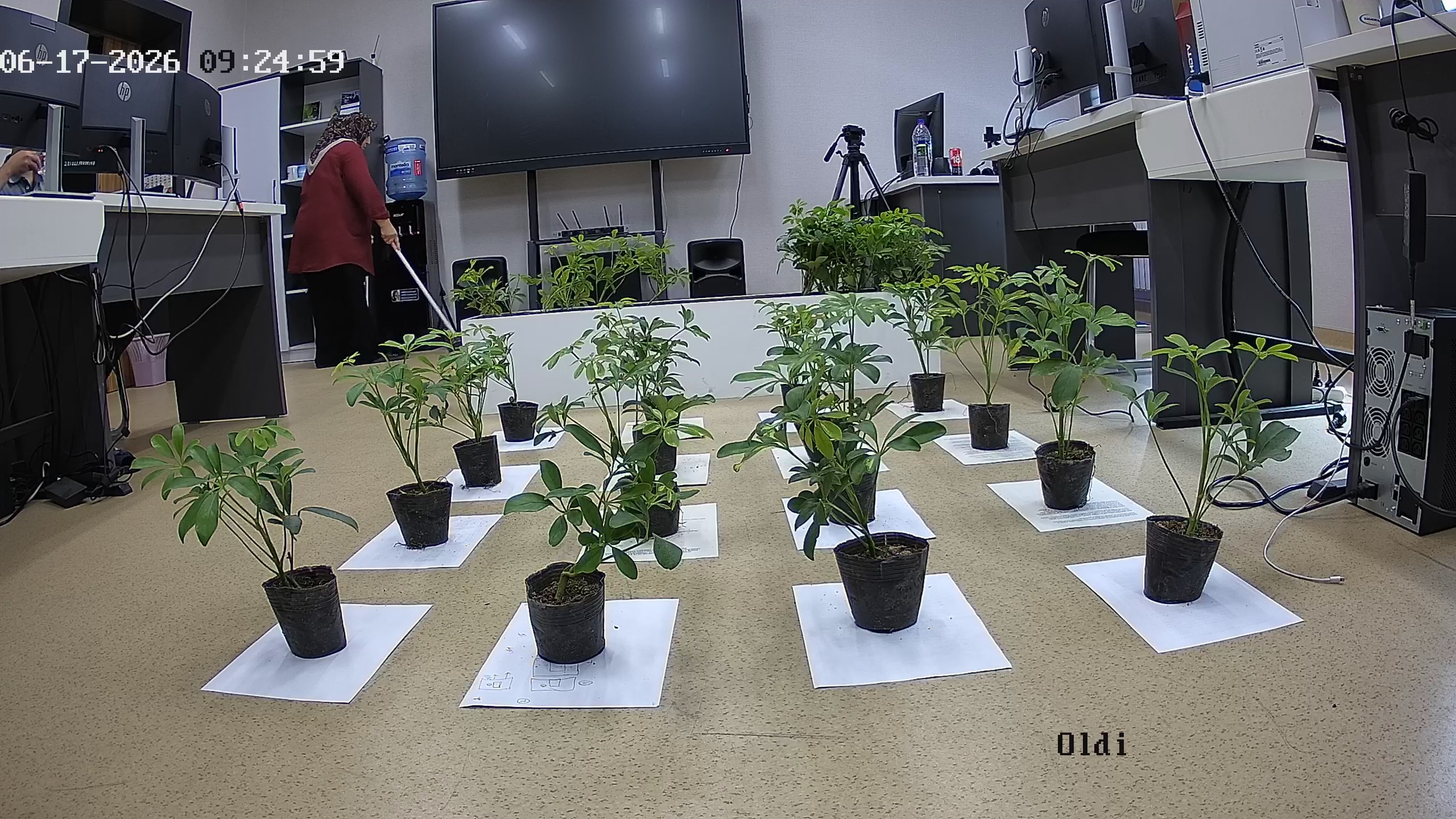 seedling_2026-06-17_09-25-41.jpg