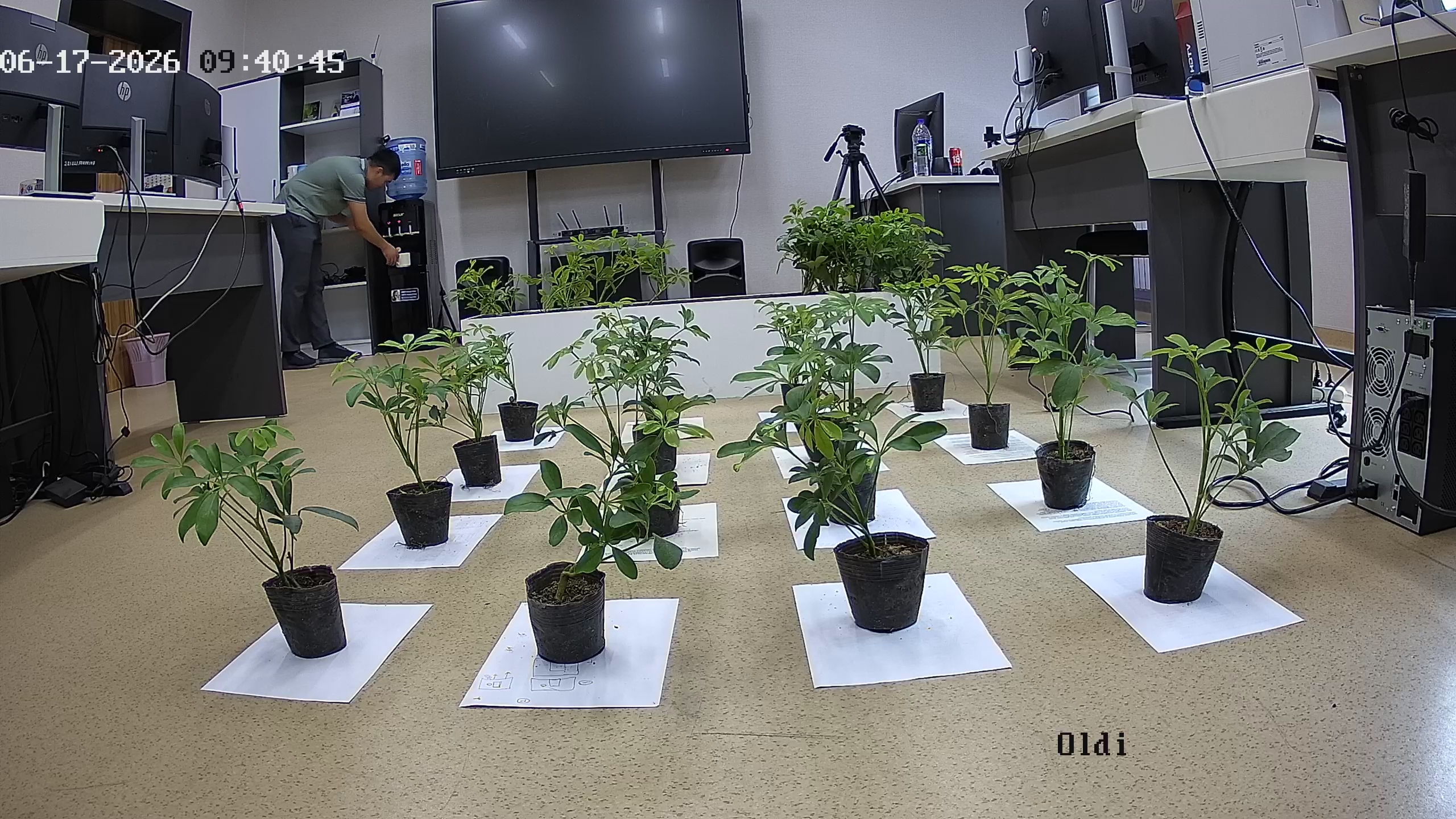 seedling_2026-06-17_09-41-05.jpg