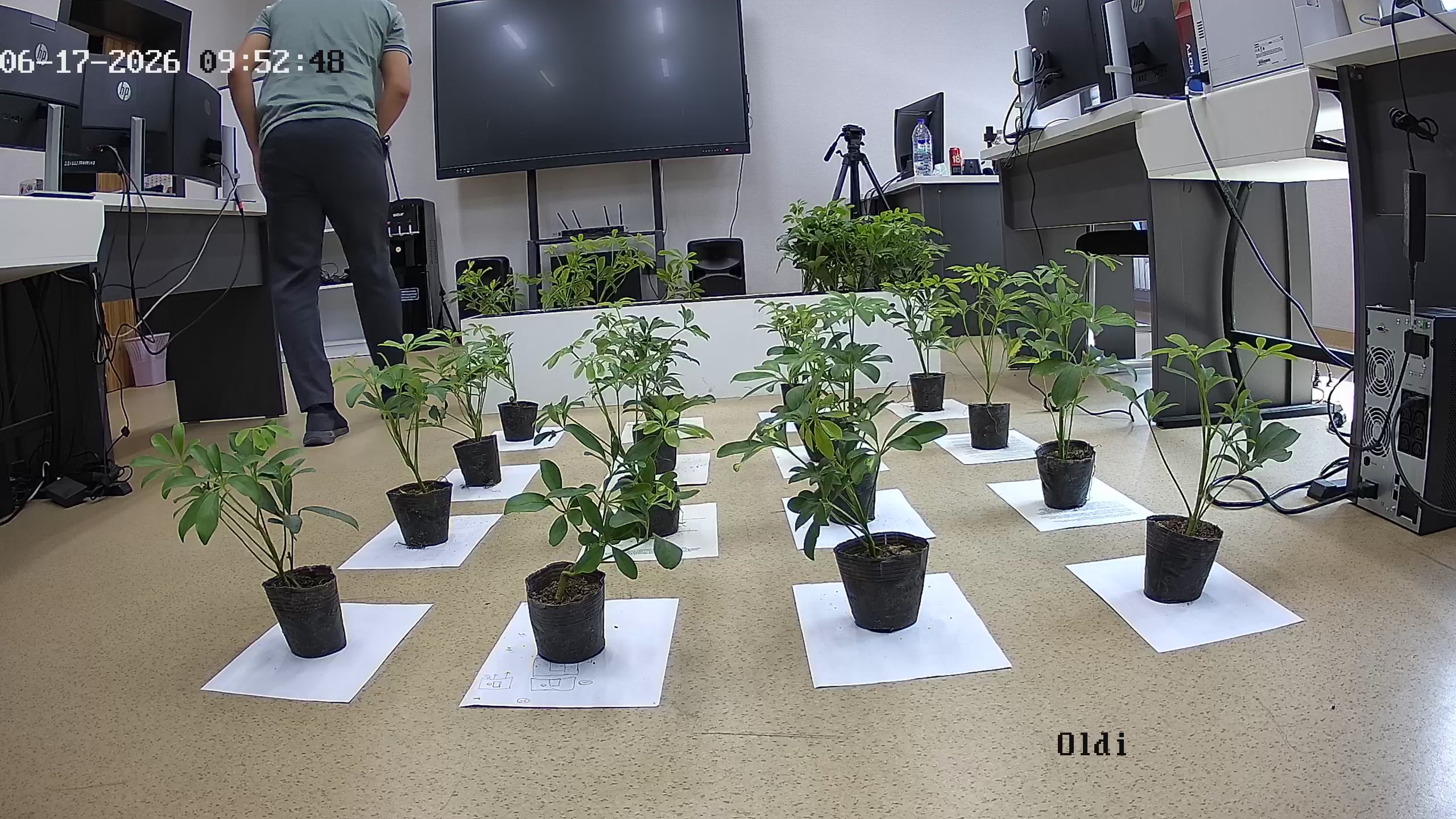 seedling_2026-06-17_09-52-59.jpg