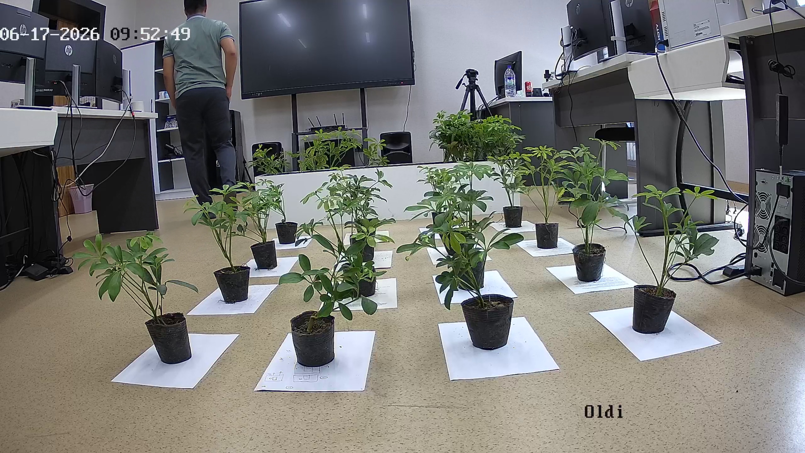 seedling_2026-06-17_09-53-20.jpg