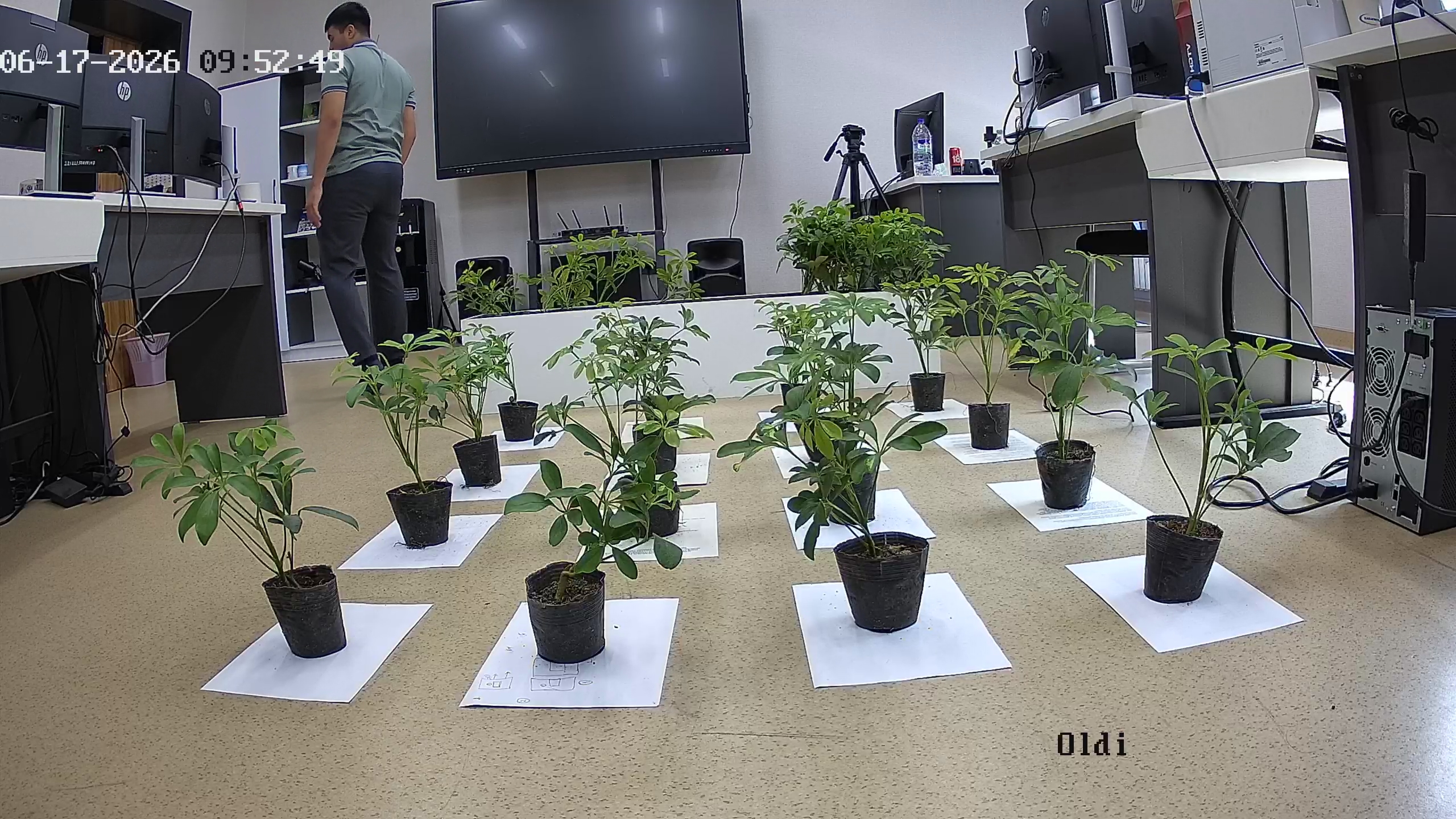 seedling_2026-06-17_09-53-30.jpg